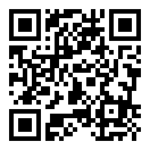 闲置球大亨二维码