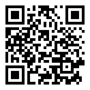 真实飞行模拟器完整版二维码