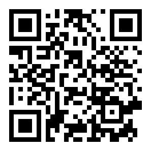 真实汽车碰撞二维码