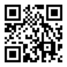 城镇生存二维码