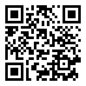 闪电模拟器二维码