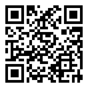 砖球毁灭者二维码