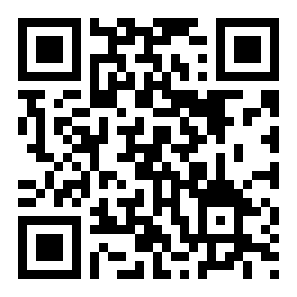 撞车嘉年华二维码