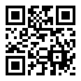 盗窃城市二维码