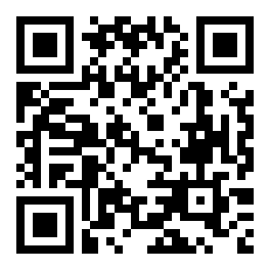 龙飞行模拟器二维码