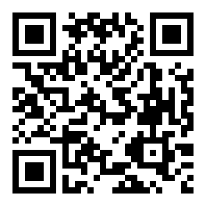 隐藏针孔检测二维码