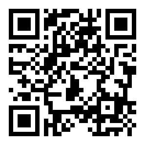 个性动态壁纸二维码