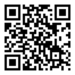 最终反弹球二维码