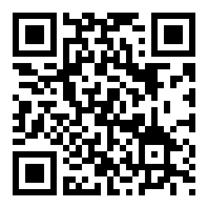 女孩明星装扮二维码