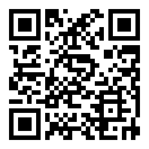 六边形方块拼图二维码