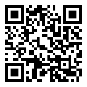 索尼克2爆炸二维码