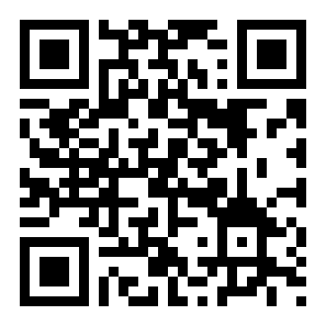 赛博时代模拟二维码
