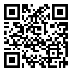 极品像素车二维码