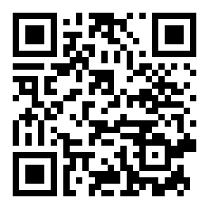 仿苹果14相机二维码